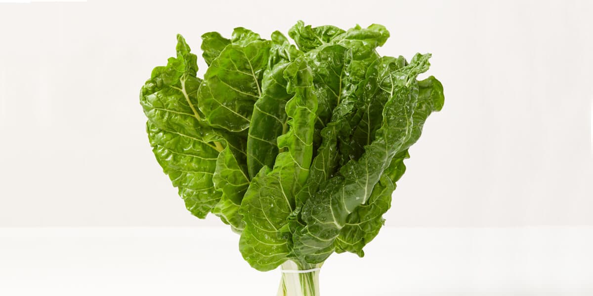 Chard