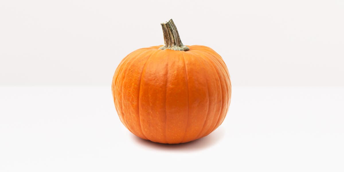 Pumpkin