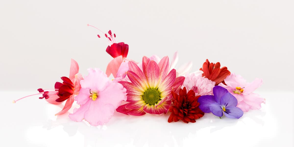 Edible Flowers
