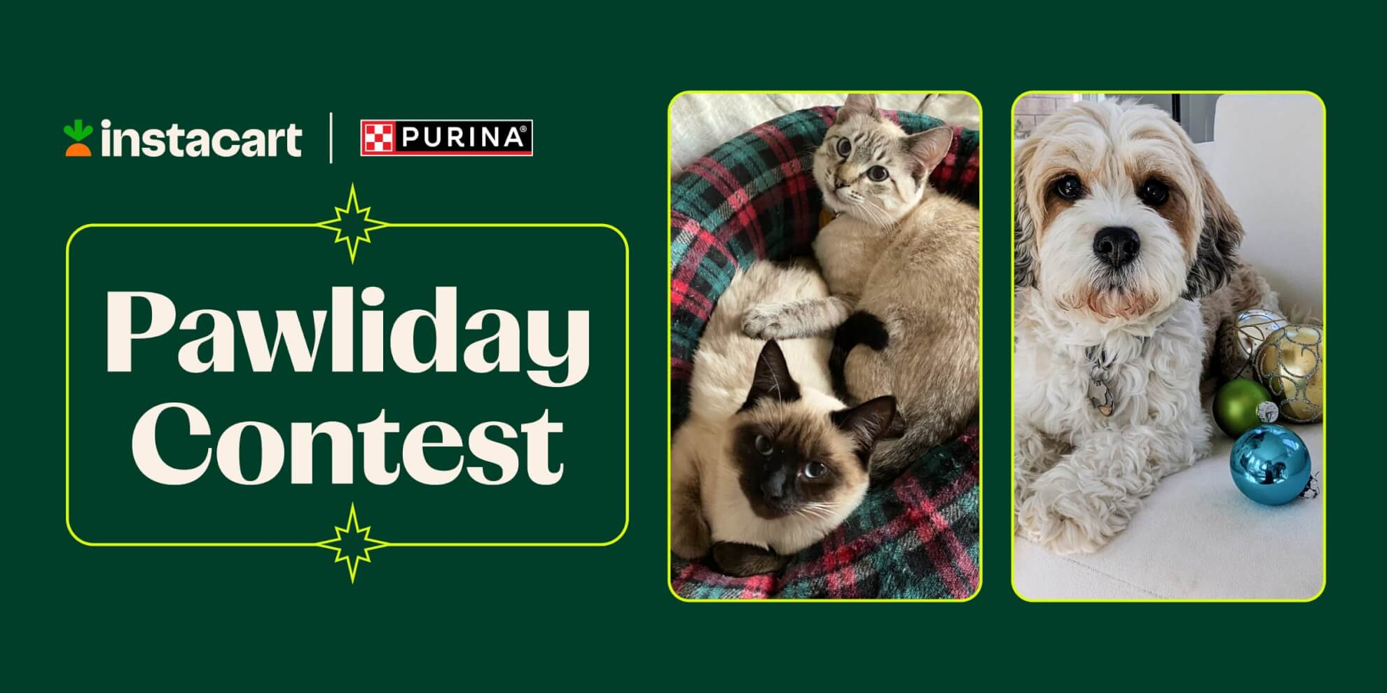 322a-Pawliday-Press-2400x1200
