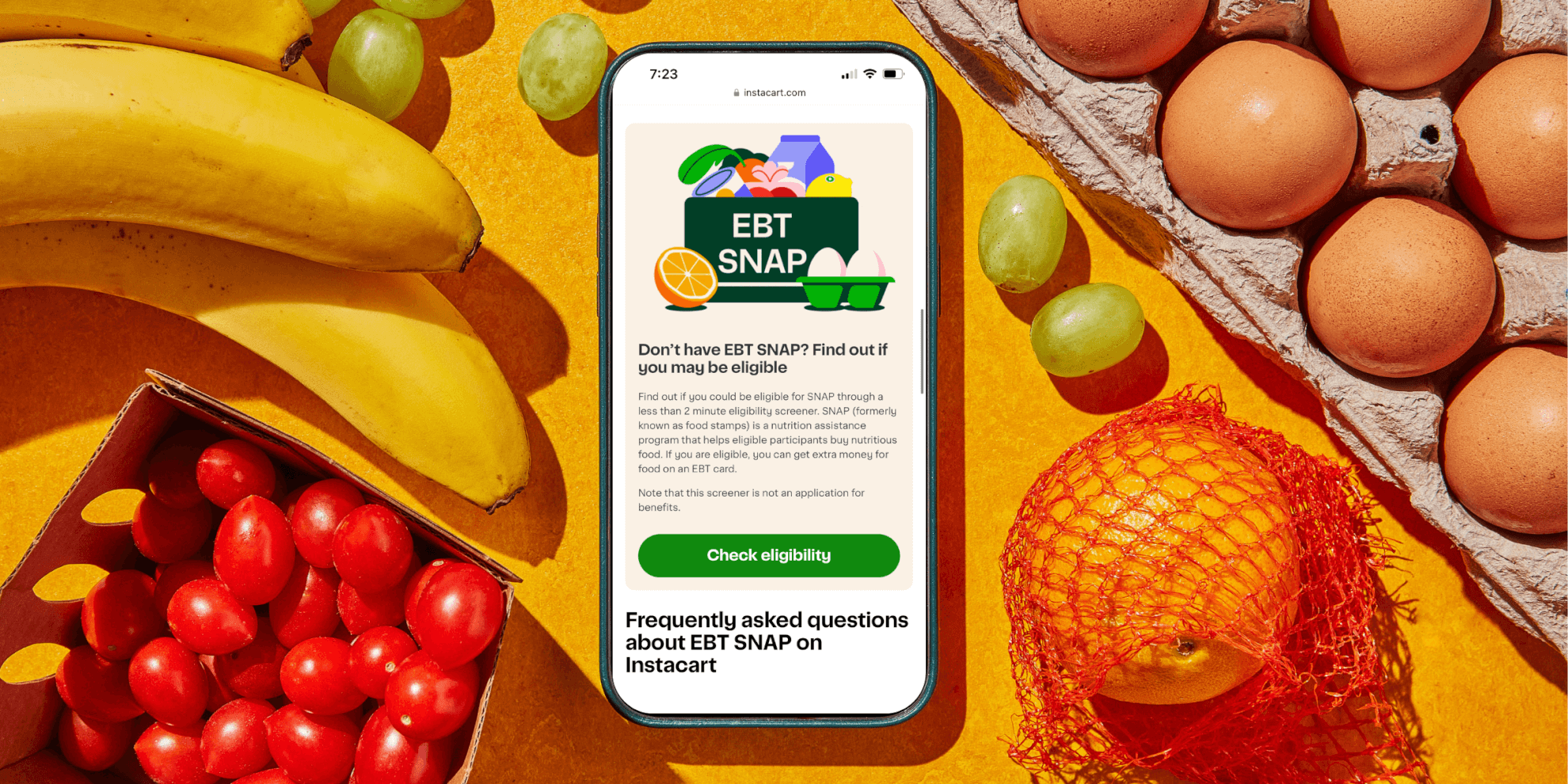 SNAP IMAGE