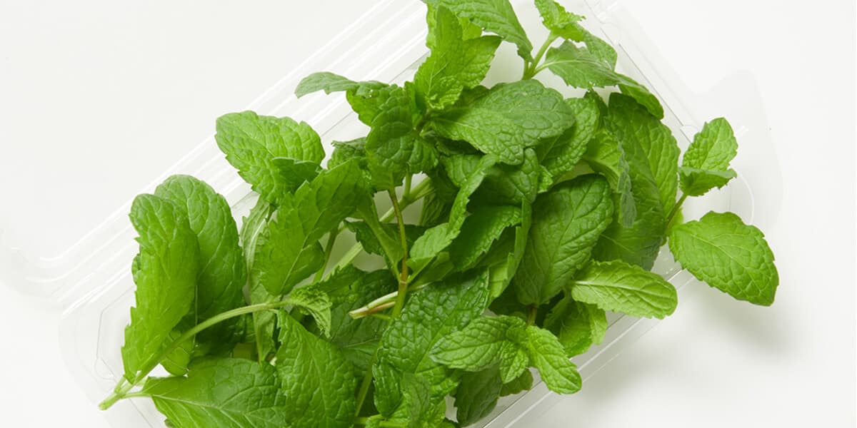 Mint