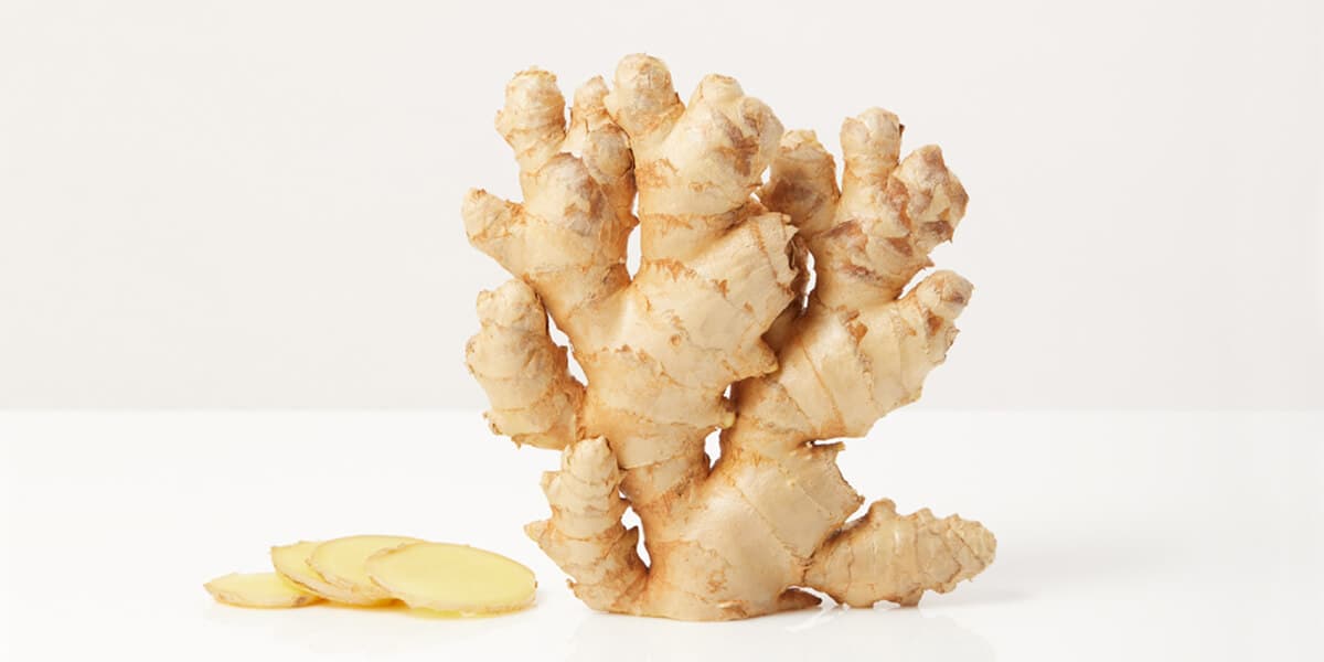 Ginger