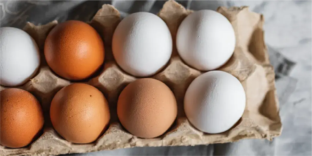 brown-eggs-vs-white-eggs-hero