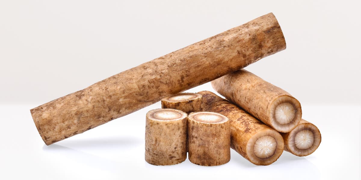 Burdock root