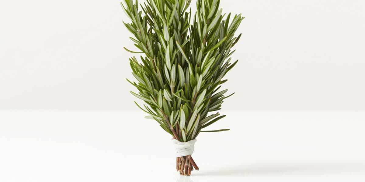 Rosemary