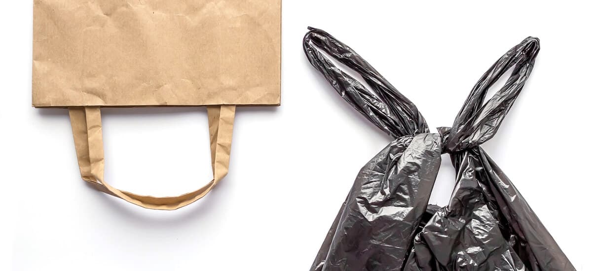 Grocery bags