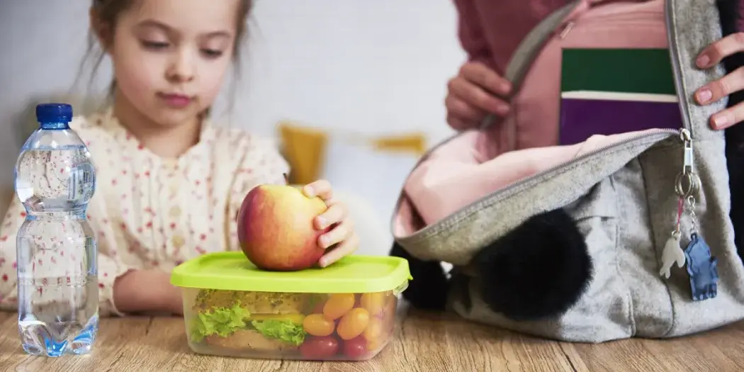 toddler-lunch-box-ideas-hero