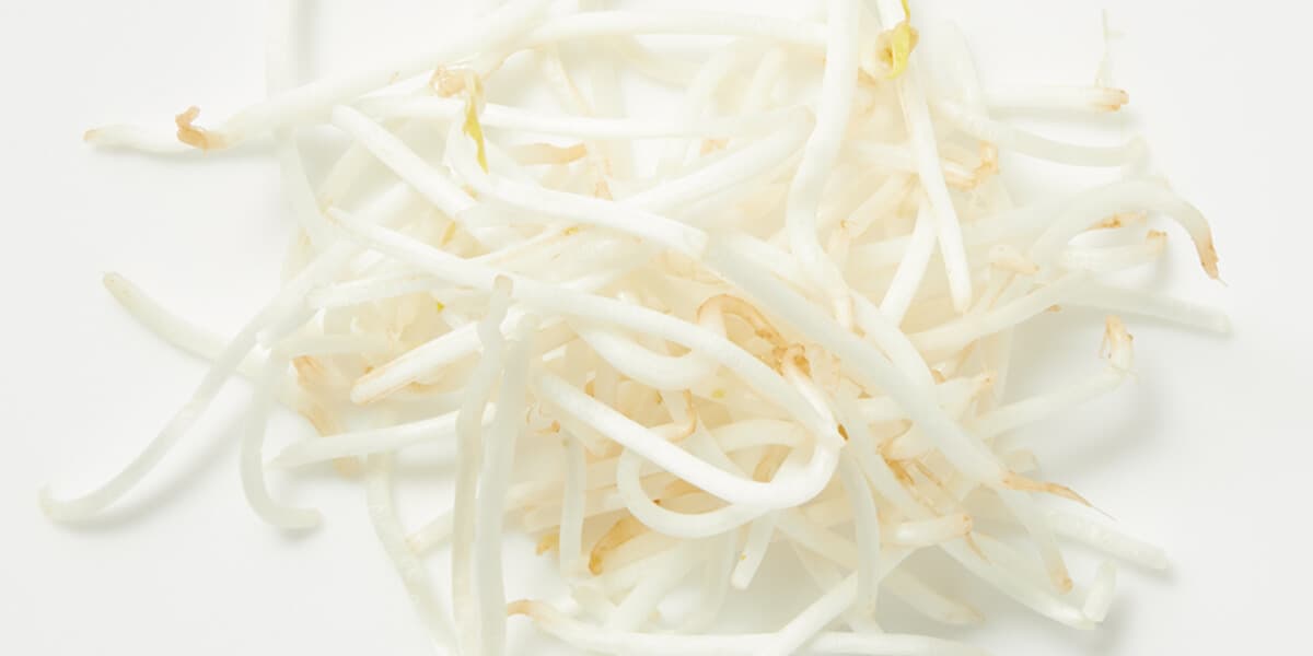 Bean Sprouts