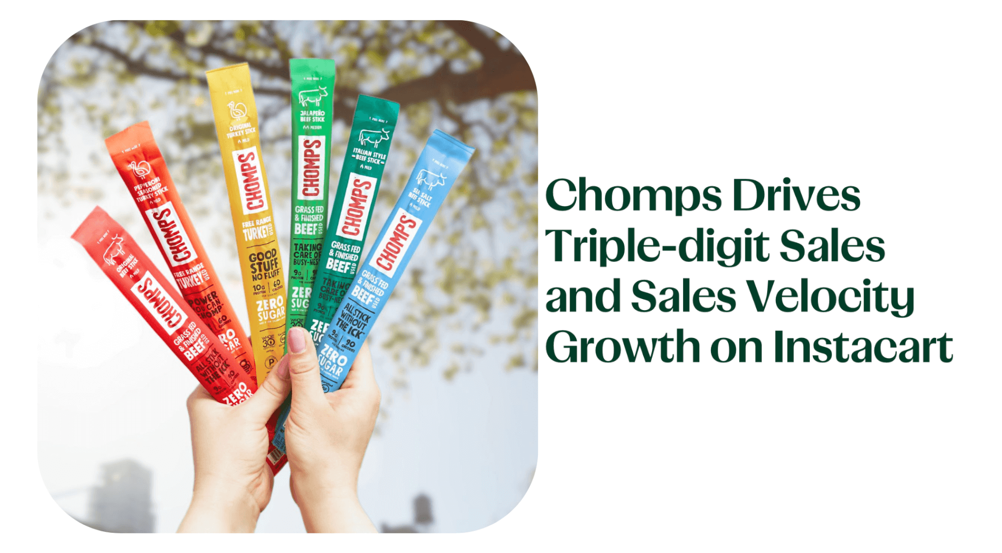 Screen Shot 2023-08-03 at 10.13.13 AM