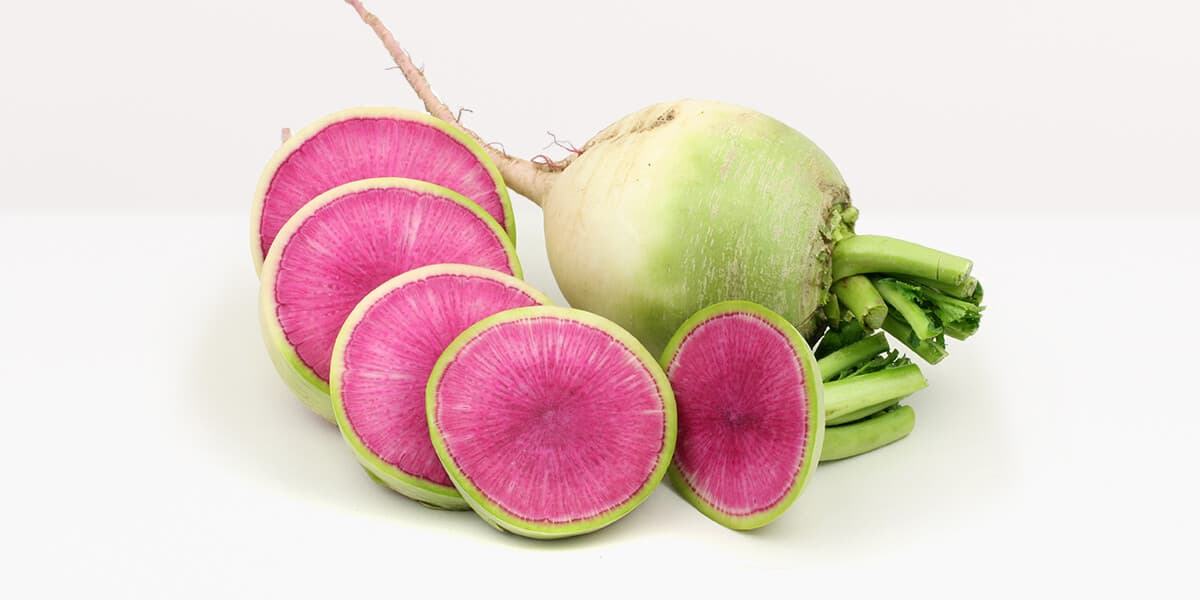 Watermelon Radish